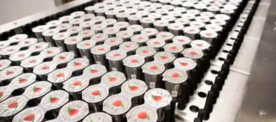 Yogurt in produzione Yogurt in produzione